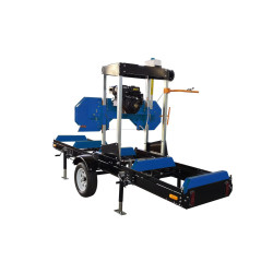 22" Sawmill w/10hp BRIGGS & STRATTON • 3m Package
